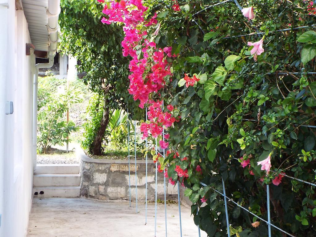Le Paradiso Apartments Bambou المظهر الخارجي الصورة